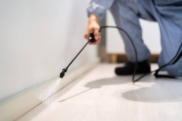 Pest Control Cost in Louisville, OH